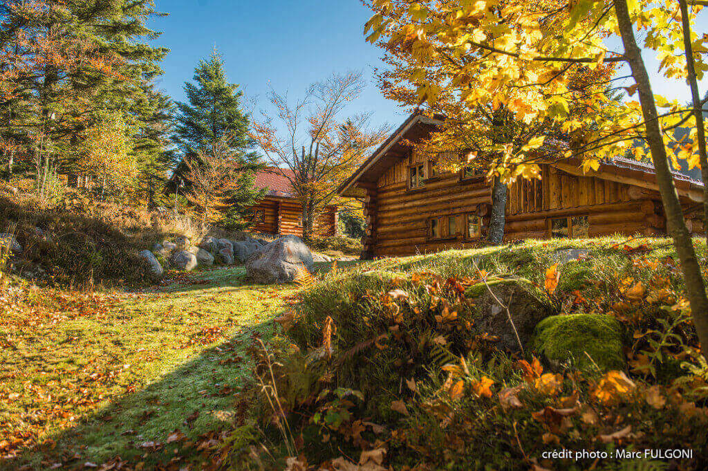 Location chalets rondins chalet rondin gites appartement ski à louer la Bresse Vosges Couaroge séminaire groupe